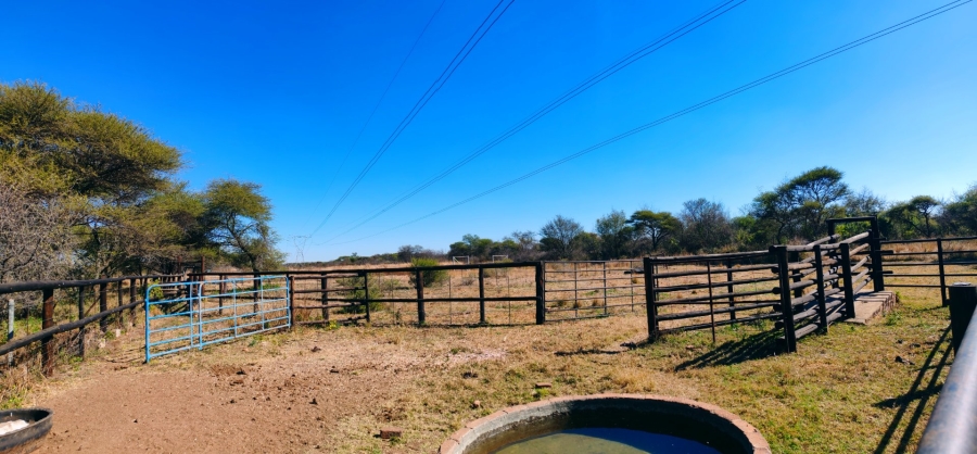3 Bedroom Property for Sale in Modimolle Limpopo