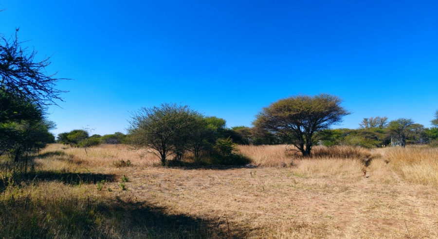3 Bedroom Property for Sale in Modimolle Limpopo