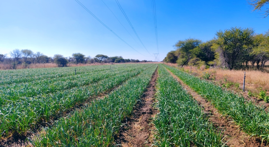 3 Bedroom Property for Sale in Modimolle Limpopo