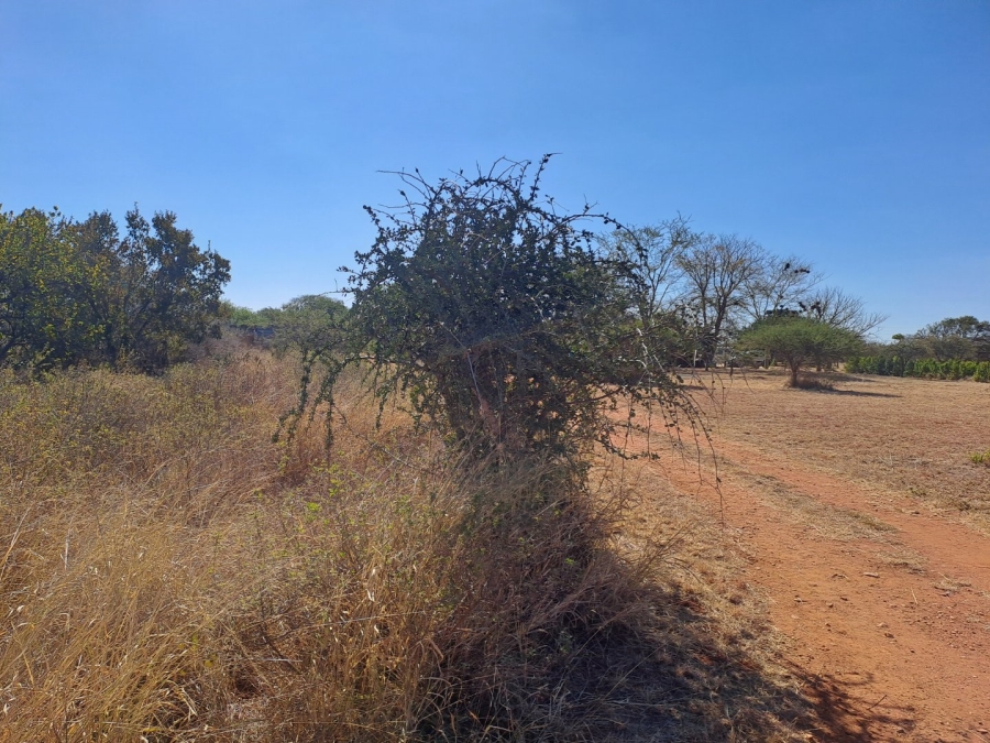 4 Bedroom Property for Sale in Myngenoegen A H Limpopo