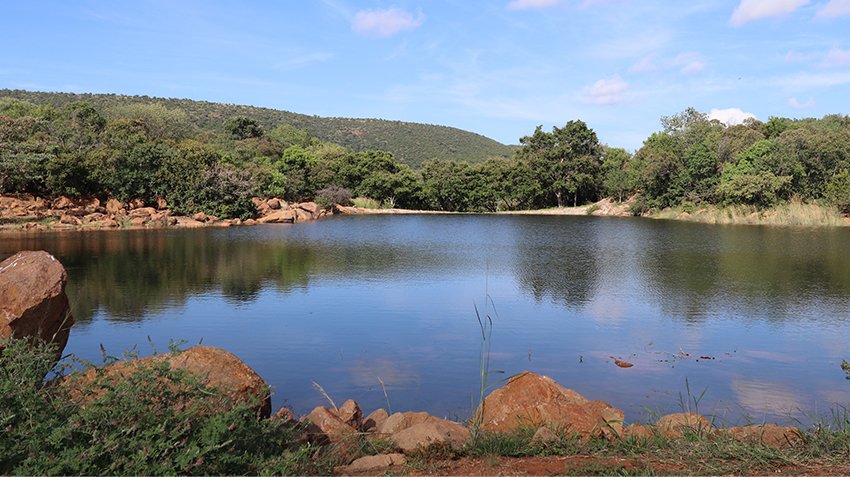  Bedroom Property for Sale in Zwartkloof Private Game Reserve Limpopo