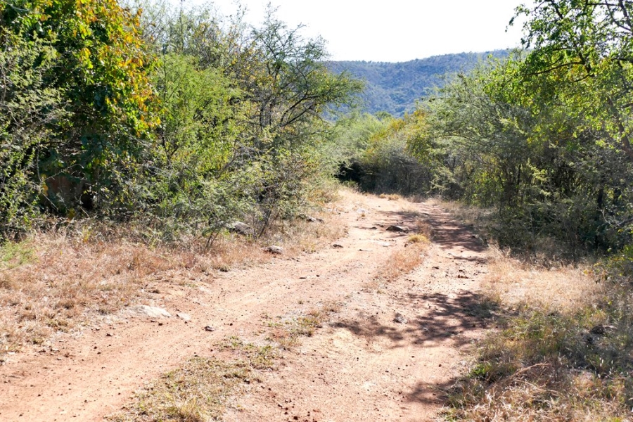 3 Bedroom Property for Sale in Mokopane Rural Limpopo