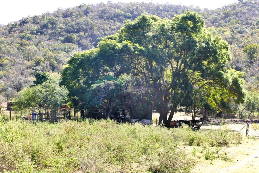 3 Bedroom Property for Sale in Mokopane Rural Limpopo