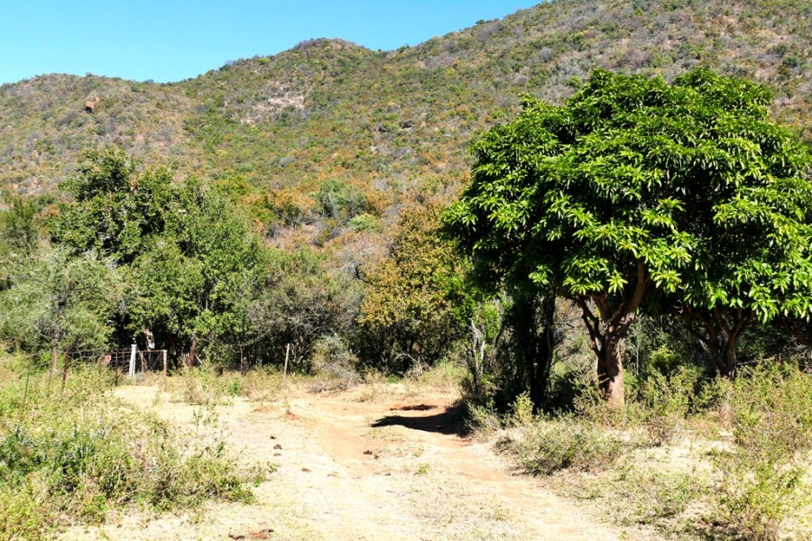 3 Bedroom Property for Sale in Mokopane Rural Limpopo