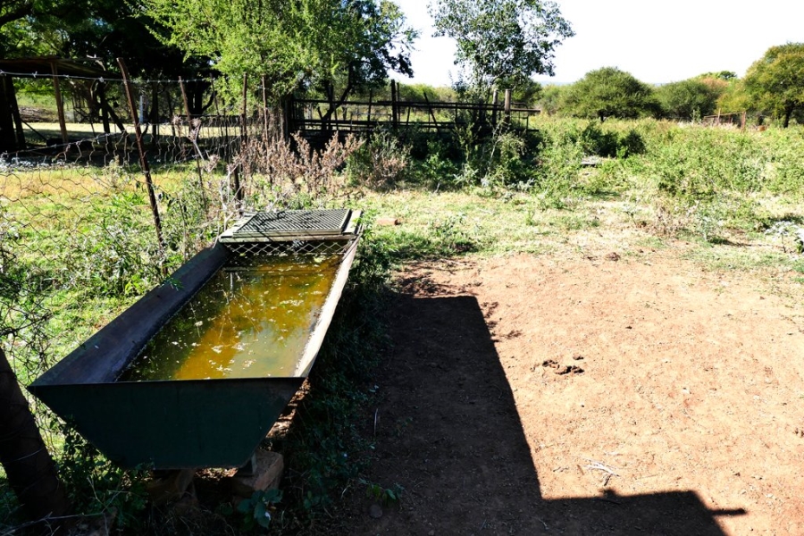3 Bedroom Property for Sale in Mokopane Rural Limpopo