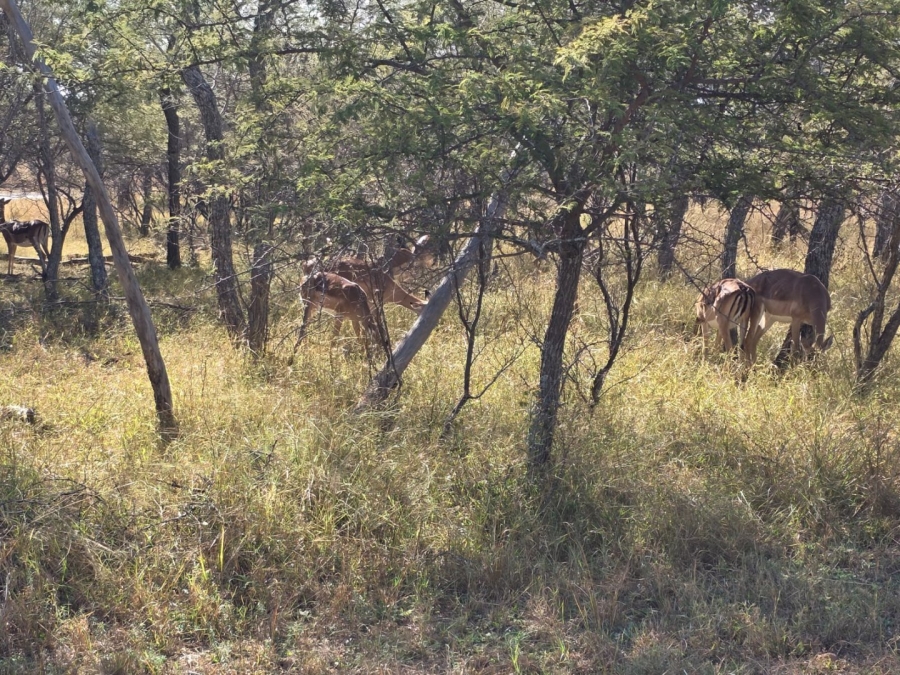  Bedroom Property for Sale in Koro Creek Golf Estate Limpopo