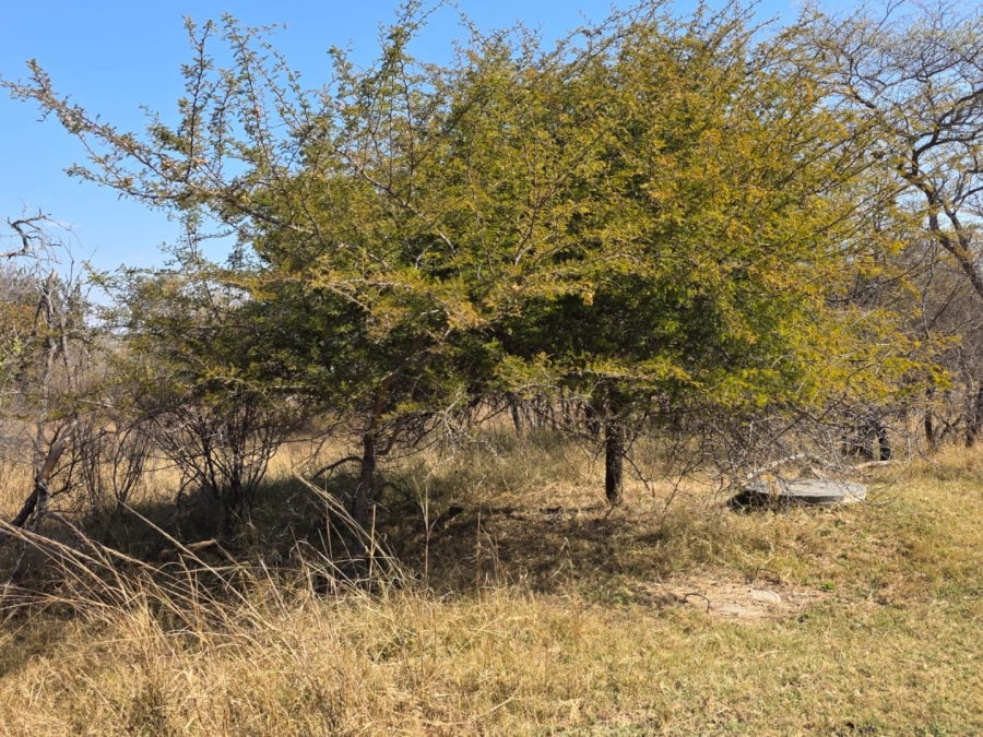  Bedroom Property for Sale in Koro Creek Golf Estate Limpopo