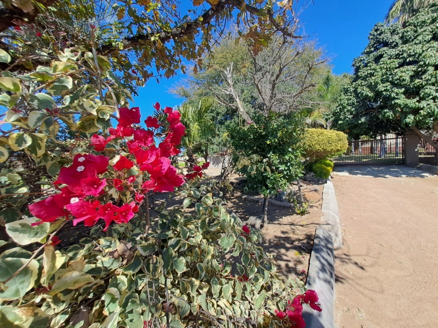 4 Bedroom Property for Sale in Palm A H Limpopo