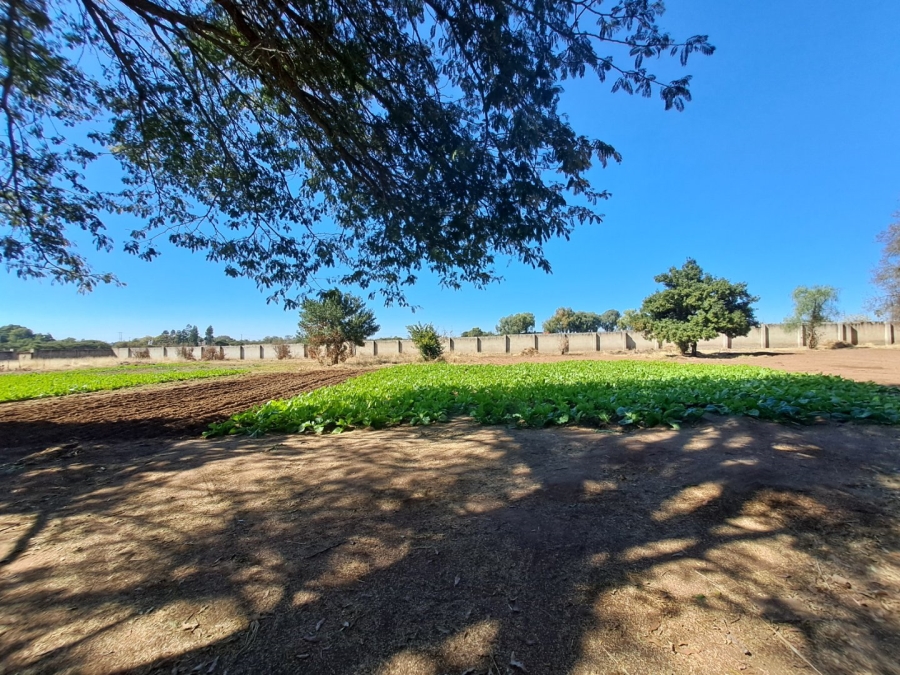 4 Bedroom Property for Sale in Palm A H Limpopo