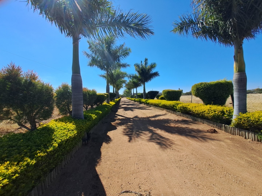 4 Bedroom Property for Sale in Palm A H Limpopo