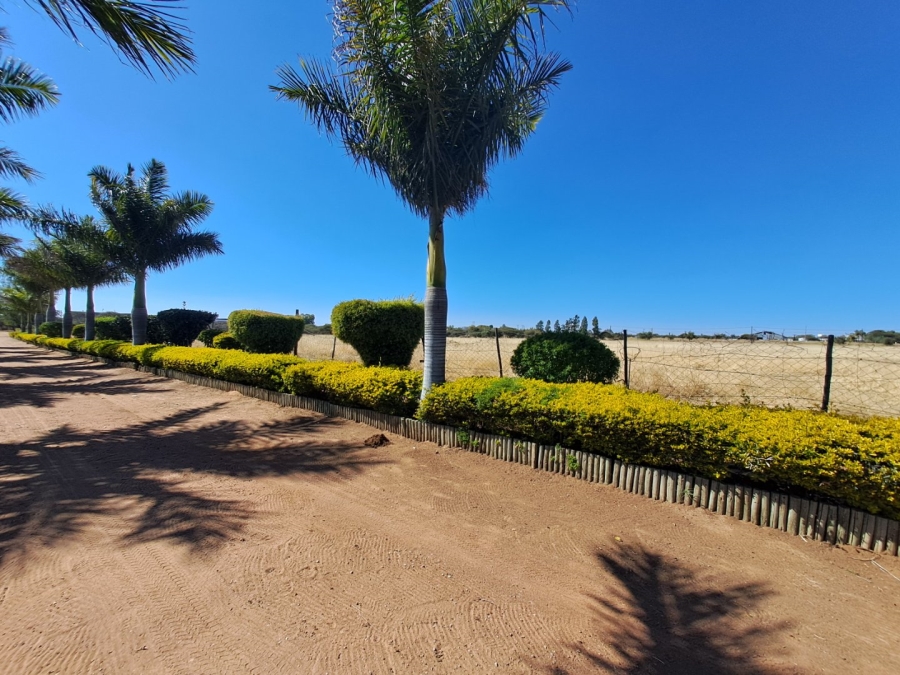 4 Bedroom Property for Sale in Palm A H Limpopo