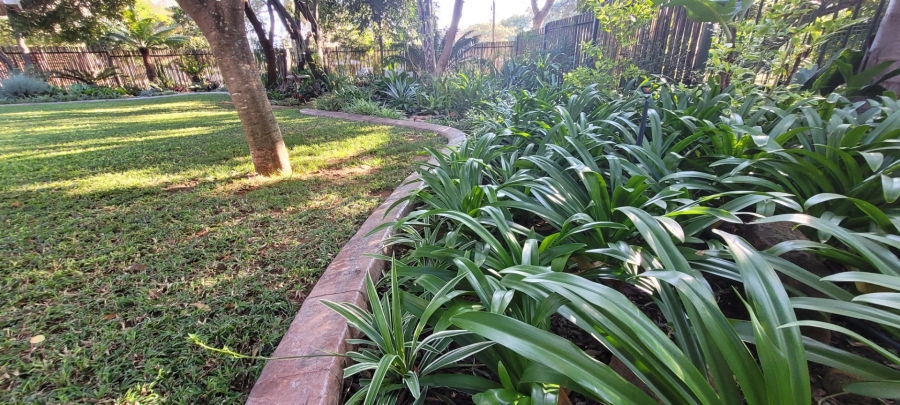 4 Bedroom Property for Sale in Modimolle Limpopo