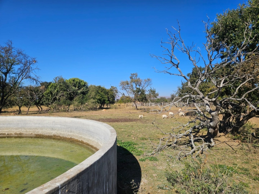 3 Bedroom Property for Sale in Polokwane Rural Limpopo