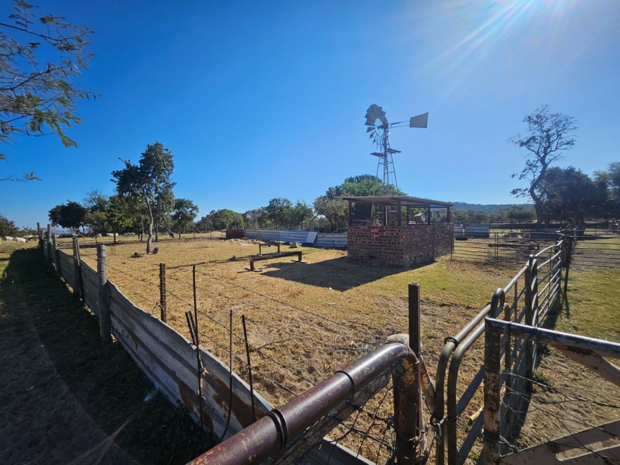 3 Bedroom Property for Sale in Polokwane Rural Limpopo