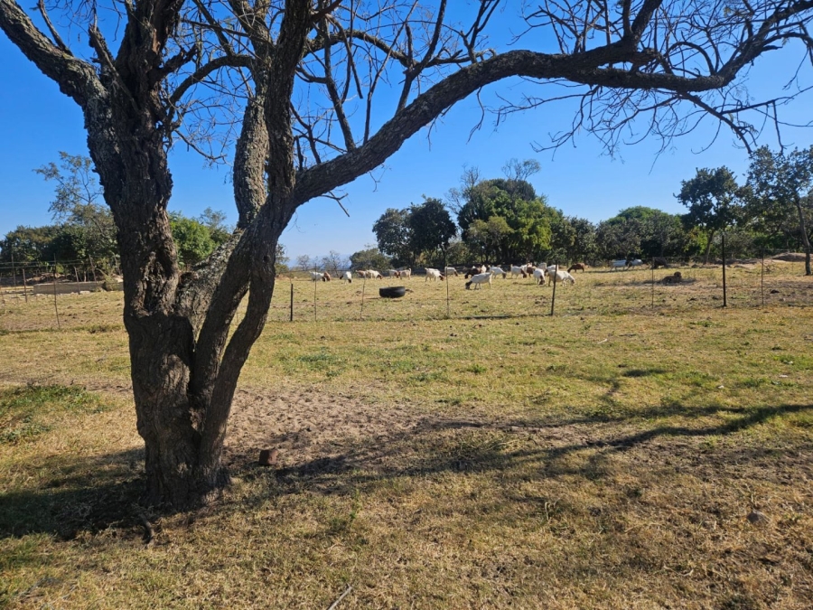 3 Bedroom Property for Sale in Polokwane Rural Limpopo