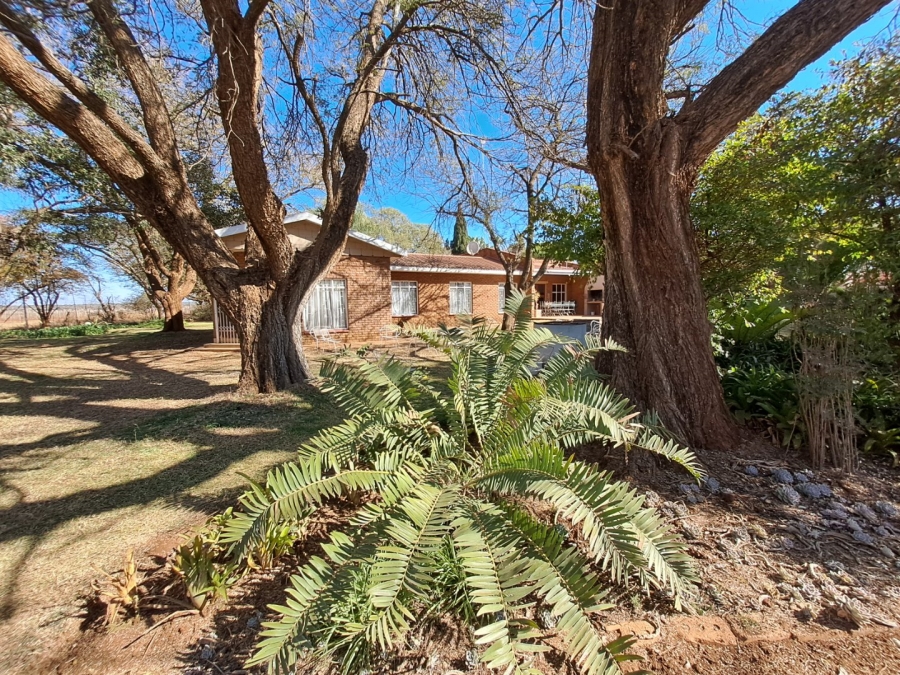 4 Bedroom Property for Sale in Dalmada A H Limpopo