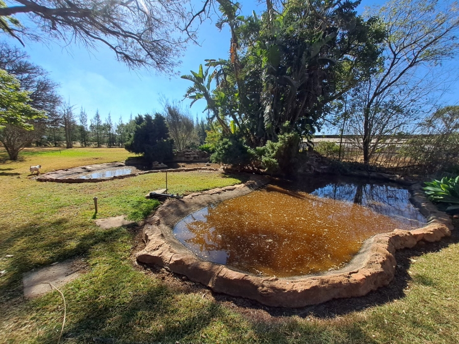 4 Bedroom Property for Sale in Dalmada A H Limpopo