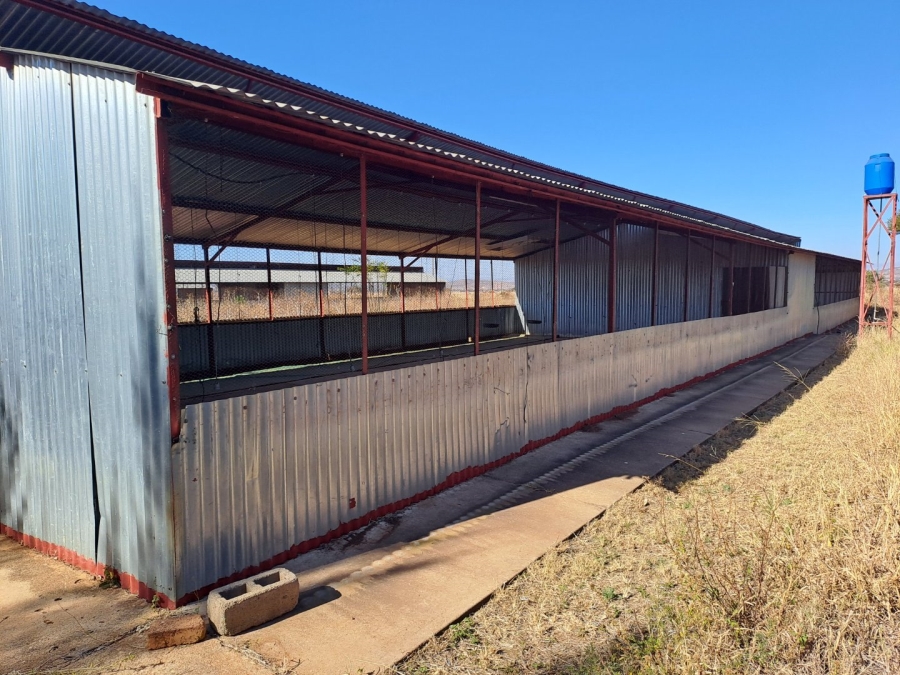4 Bedroom Property for Sale in Dalmada A H Limpopo