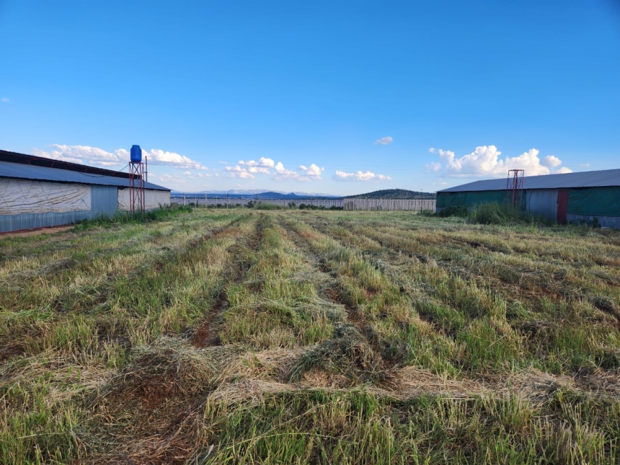 4 Bedroom Property for Sale in Dalmada A H Limpopo