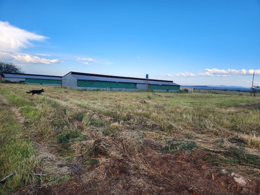 4 Bedroom Property for Sale in Dalmada A H Limpopo