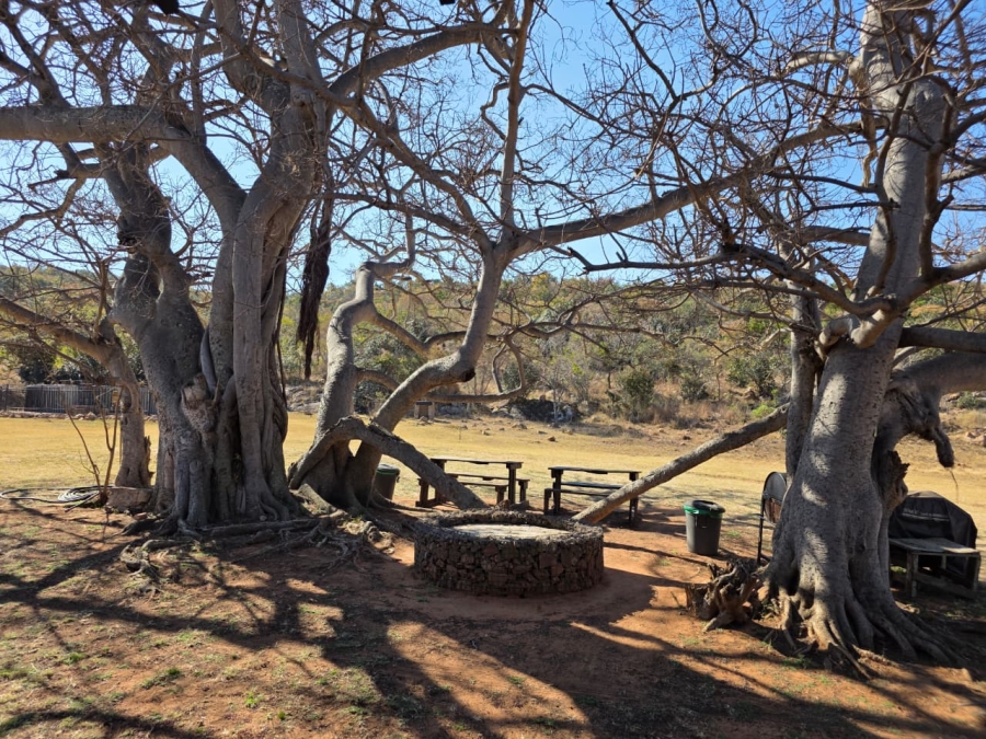  Bedroom Property for Sale in Modimolle Limpopo
