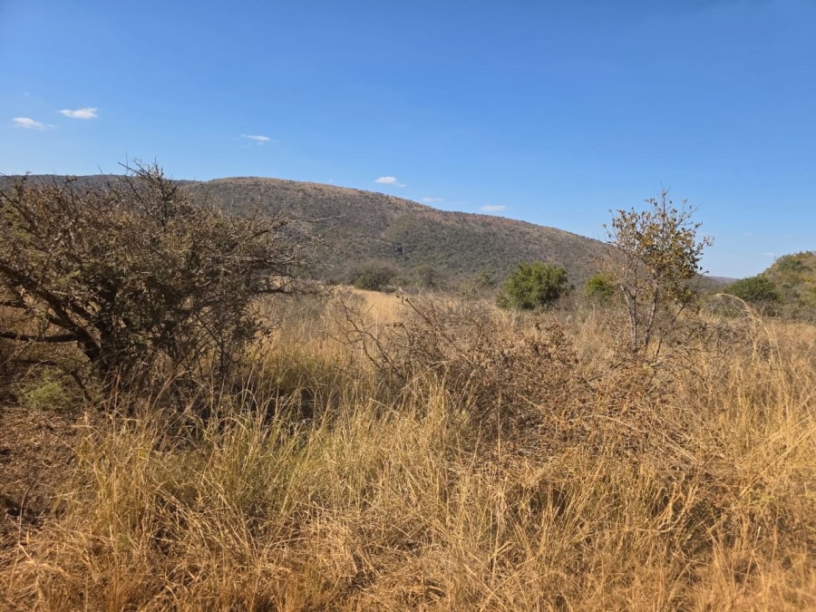  Bedroom Property for Sale in Modimolle Limpopo
