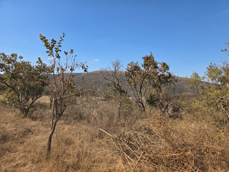  Bedroom Property for Sale in Modimolle Limpopo