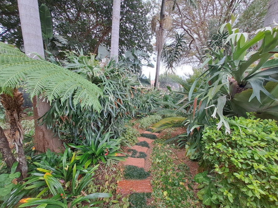 9 Bedroom Property for Sale in Sterpark Limpopo