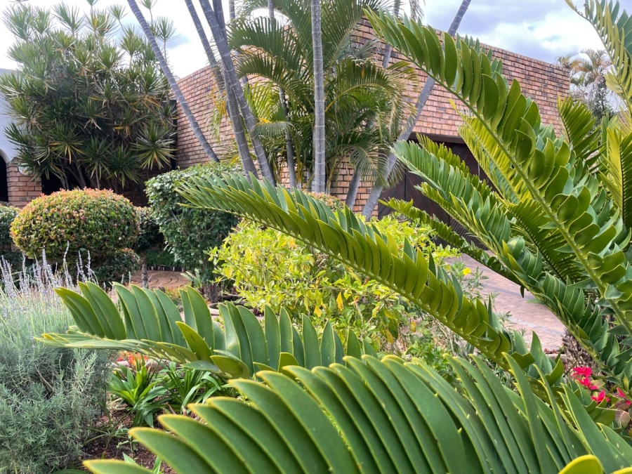 5 Bedroom Property for Sale in Welgelegen Limpopo