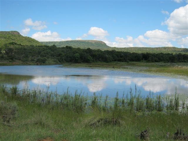  Bedroom Property for Sale in Modimolle Limpopo