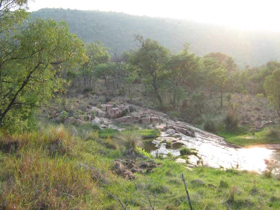  Bedroom Property for Sale in Modimolle Limpopo