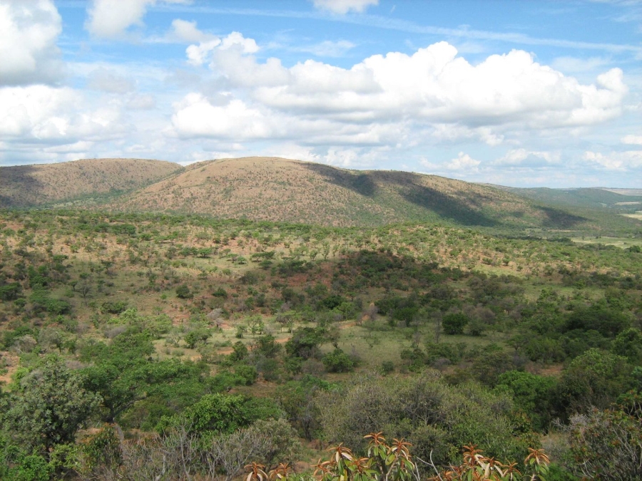  Bedroom Property for Sale in Modimolle Limpopo
