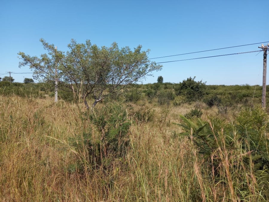  Bedroom Property for Sale in Thohoyandou Limpopo