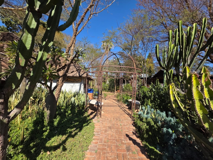  Bedroom Property for Sale in Dalmada A H Limpopo