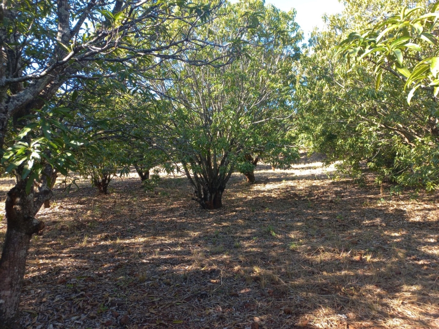  Bedroom Property for Sale in Sibasa Limpopo