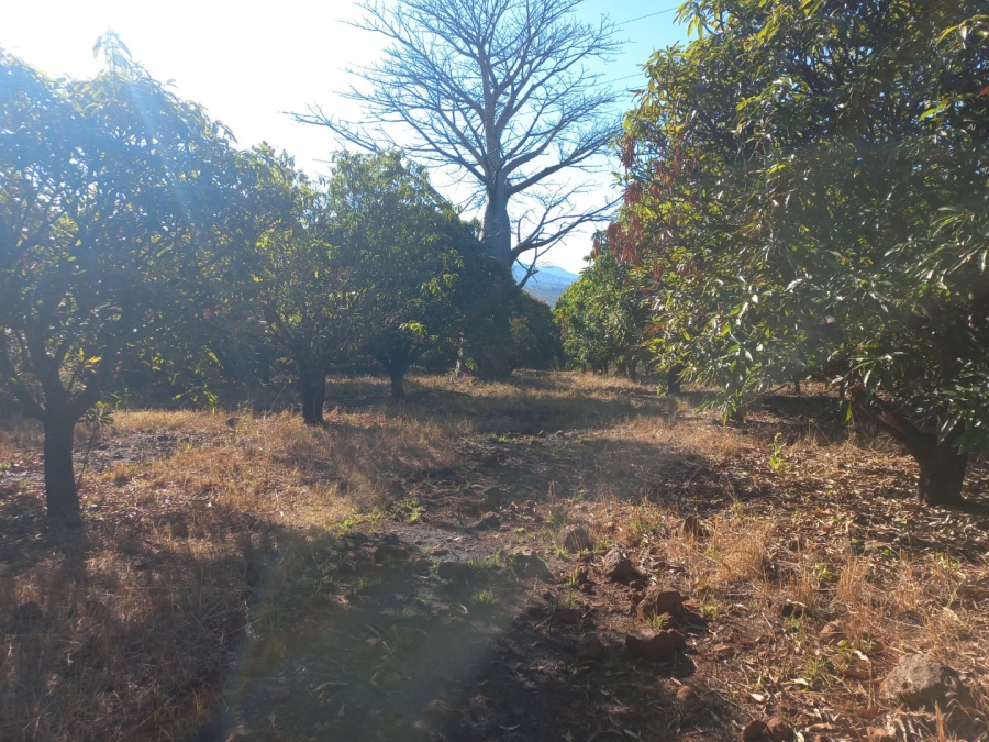  Bedroom Property for Sale in Sibasa Limpopo