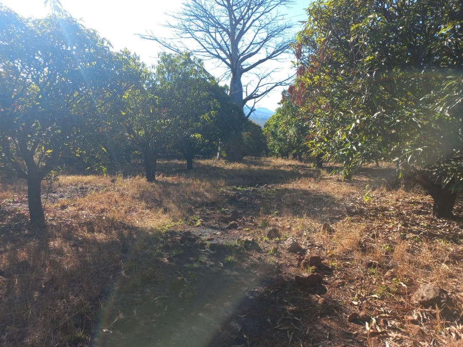  Bedroom Property for Sale in Sibasa Limpopo