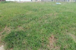  Bedroom Property for Sale in Woodhill Estate Limpopo