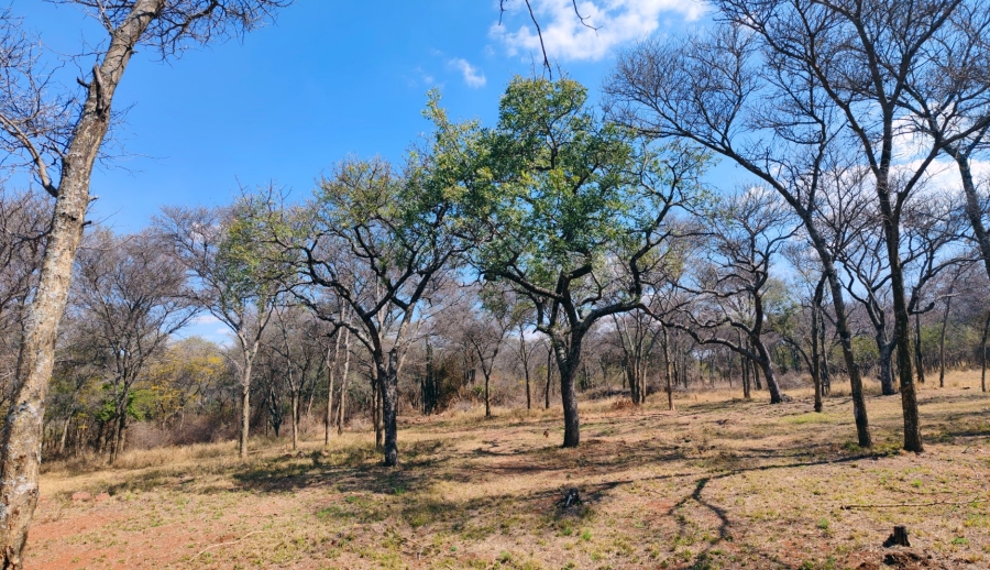 4 Bedroom Property for Sale in Bela Bela Limpopo