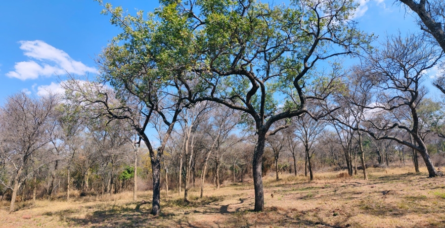 4 Bedroom Property for Sale in Bela Bela Limpopo