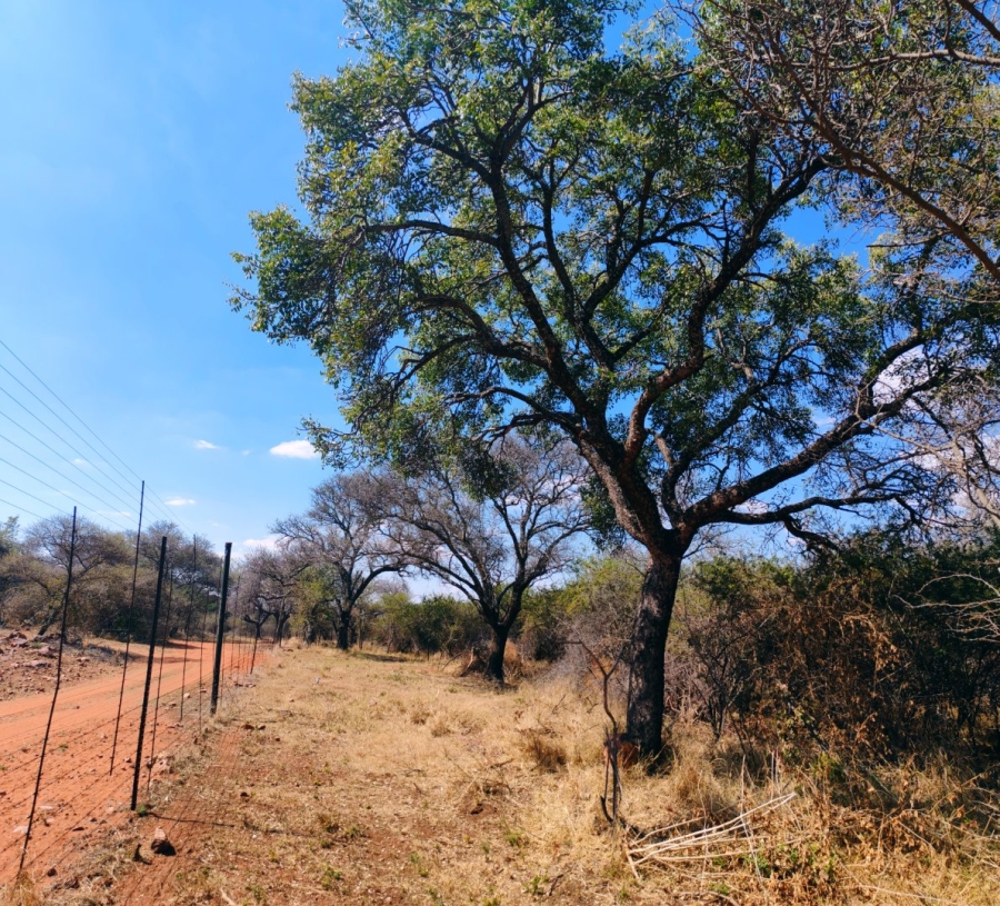4 Bedroom Property for Sale in Bela Bela Limpopo