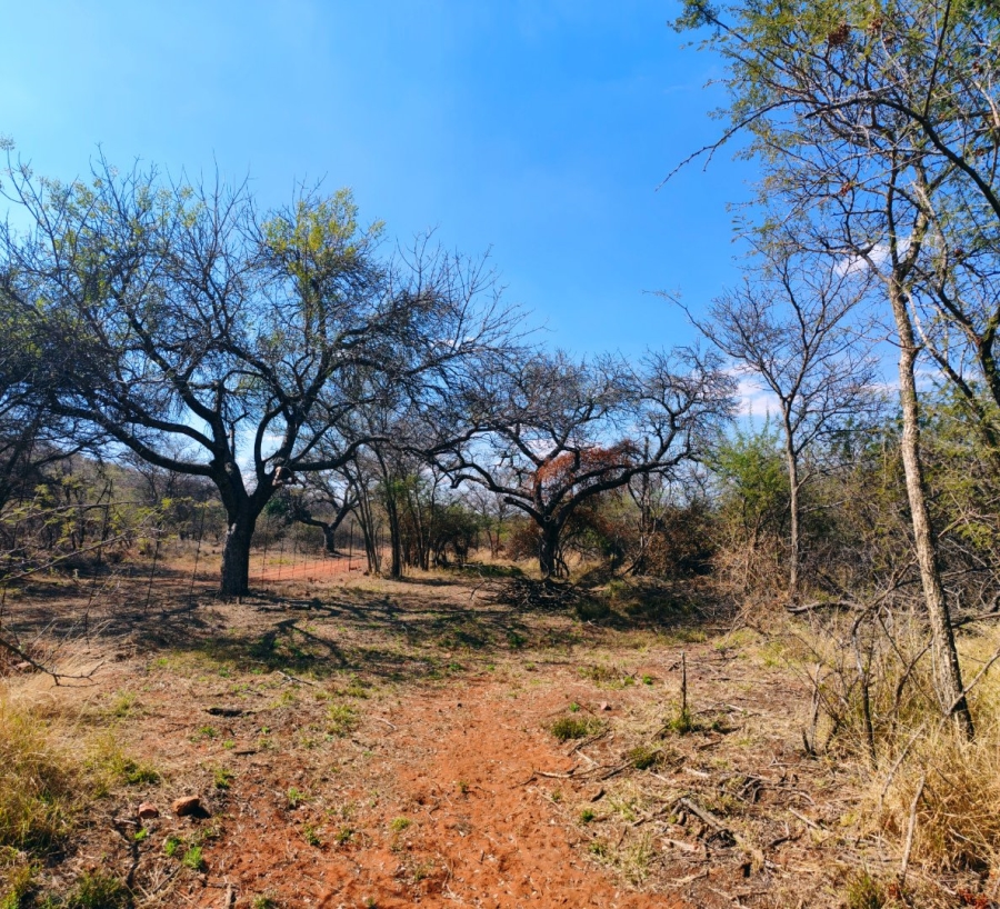 4 Bedroom Property for Sale in Bela Bela Limpopo