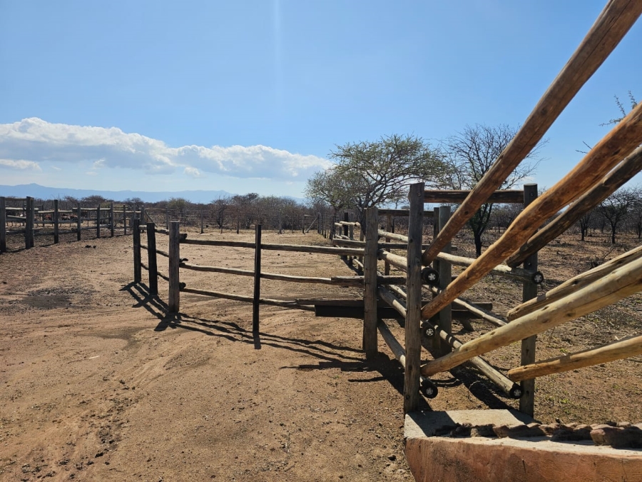  Bedroom Property for Sale in Louis Trichardt Limpopo
