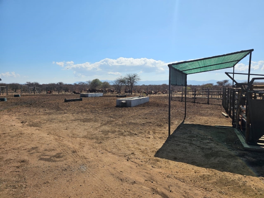  Bedroom Property for Sale in Louis Trichardt Limpopo