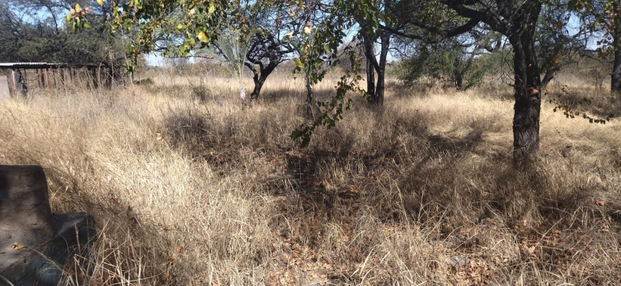  Bedroom Property for Sale in Phalaborwa Limpopo