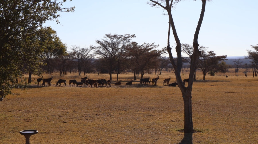 5 Bedroom Property for Sale in Modimolle Rural Limpopo