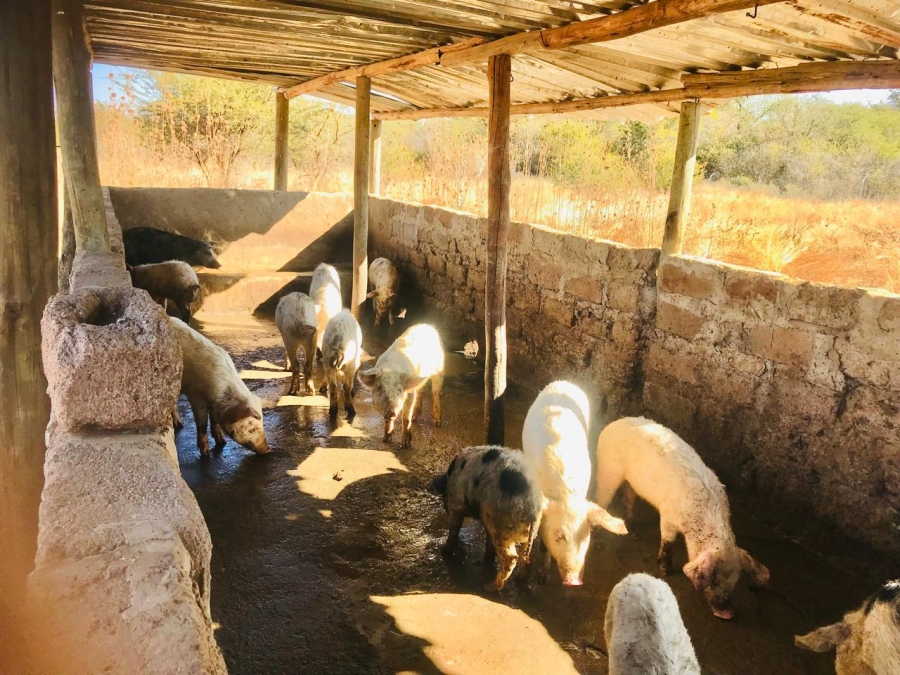 2 Bedroom Property for Sale in Lebowakgomo Limpopo