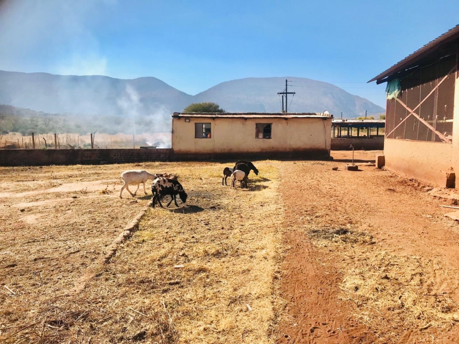 2 Bedroom Property for Sale in Lebowakgomo Limpopo