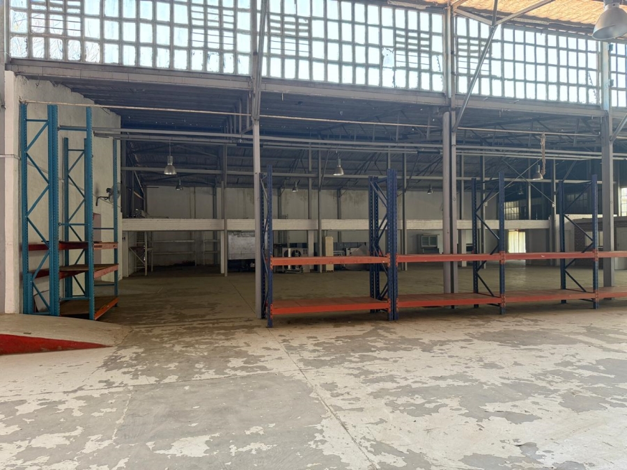 To Let commercial Property for Rent in Polokwane Central Limpopo