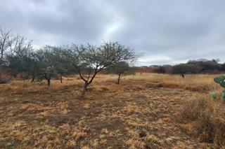  Bedroom Property for Sale in Bendor Limpopo